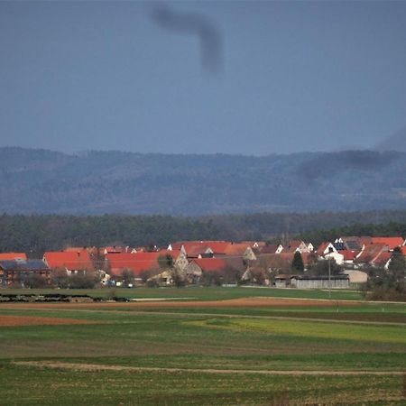Ferien-Messe-Handwerkerwohnung-Haustiere Willkommen Lauf an der Pegnitz Luaran gambar