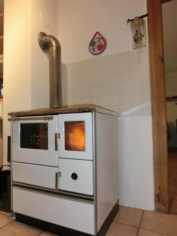 Ferien-Messe-Handwerkerwohnung-Haustiere Willkommen Lauf an der Pegnitz Luaran gambar